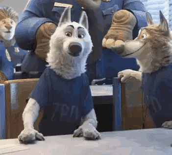 44711b0faa6c13fbefd97dcefec74a7755cc833b141e89-7JzKpv_fw658.gif